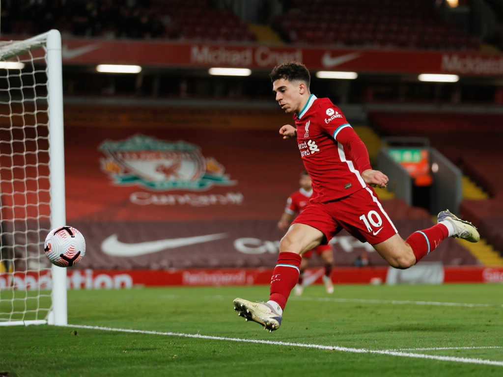 样化发展的 样化发展的