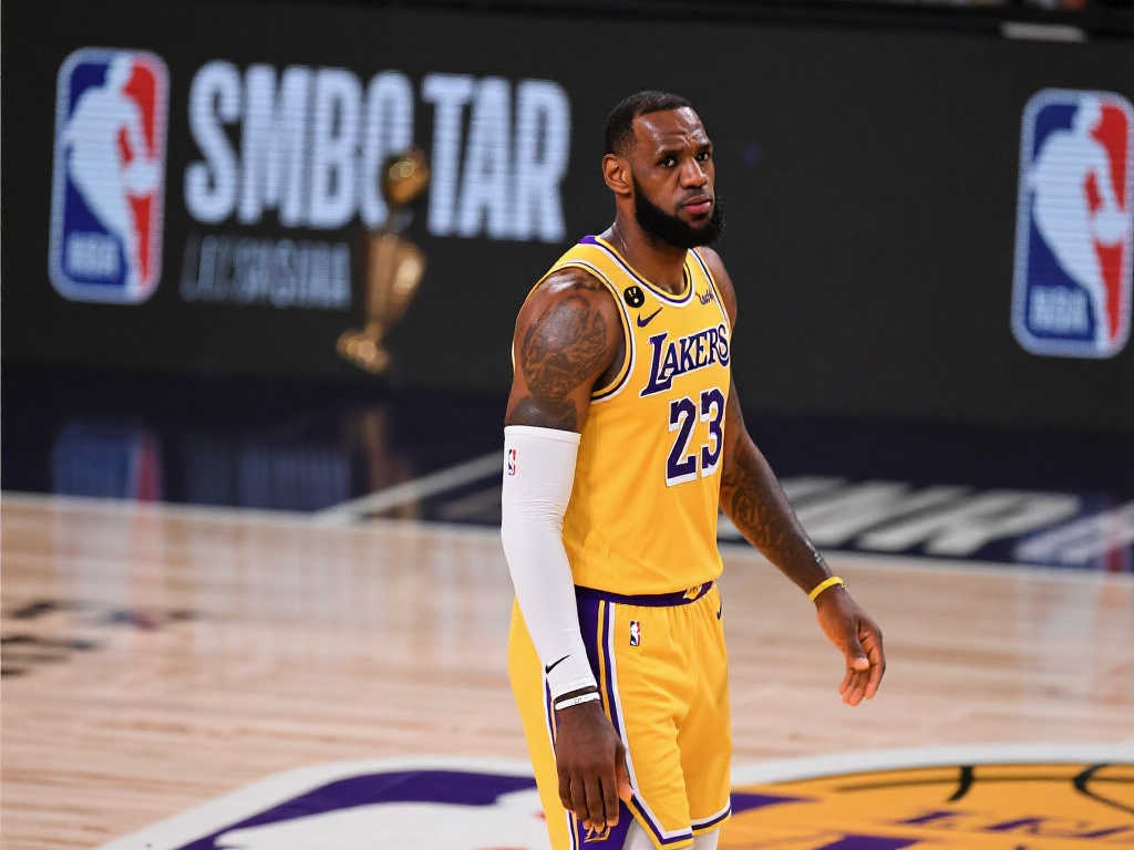 的发展奠定 的发展奠定