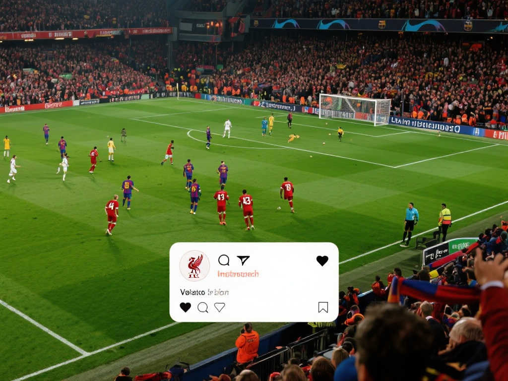 中的成绩无 中的成绩无